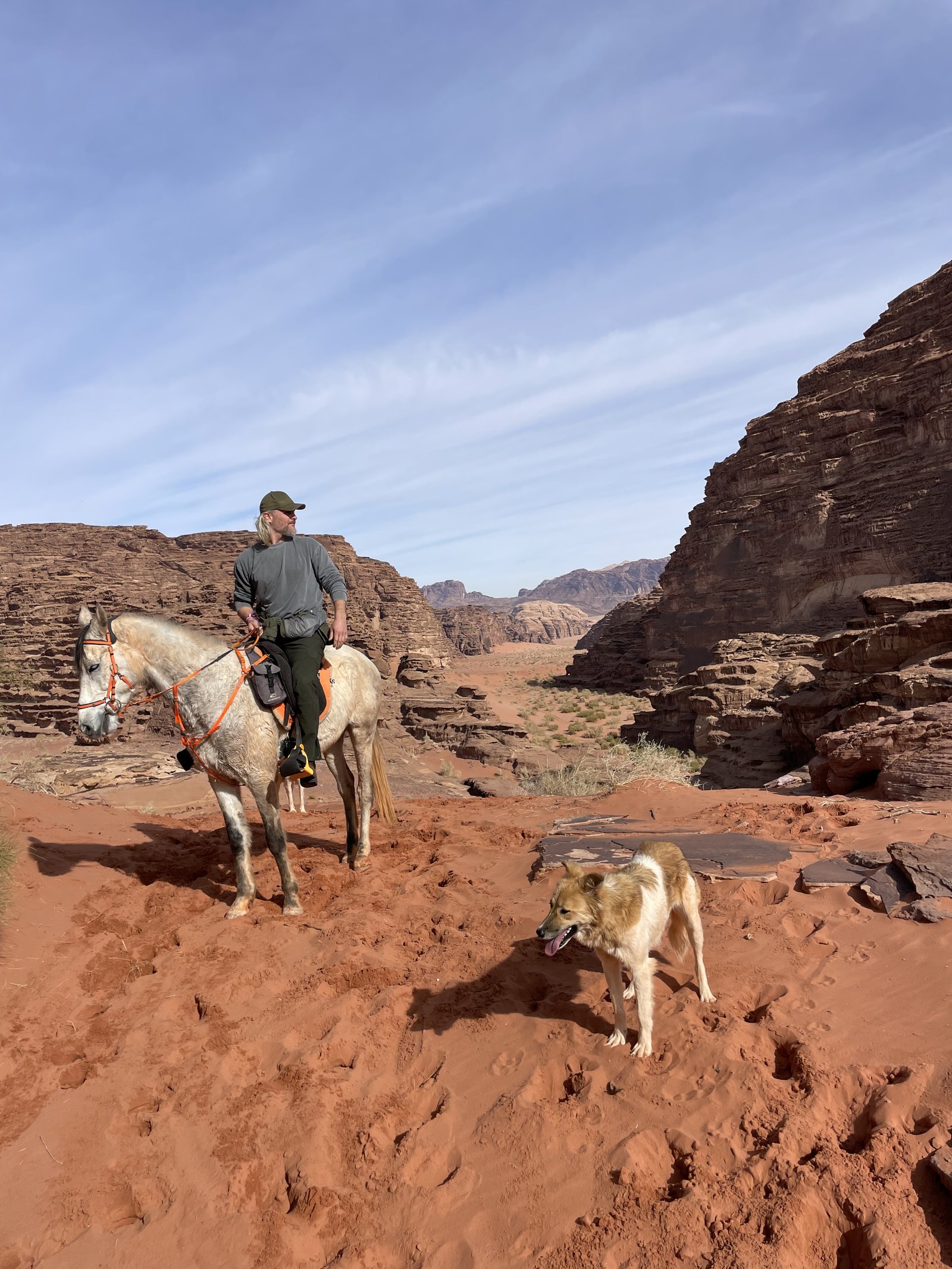 A rider on horseback with a dog beside him on the red sand of Wadi Rum